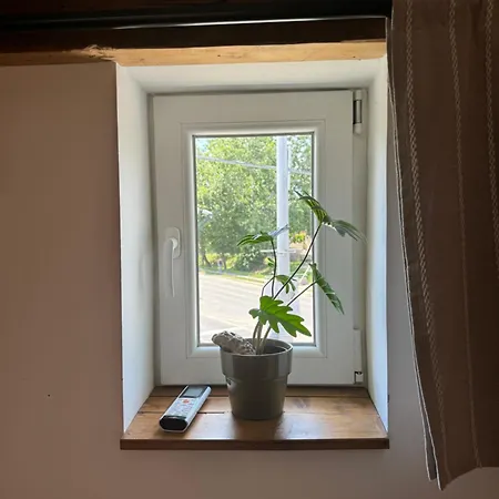 Pelini - 1 Pensionat