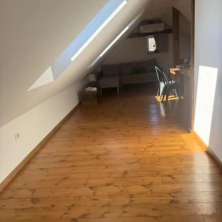 Pelini - 1 3* سنتيندري